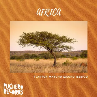 Africa by Matcho