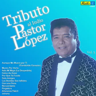 Tributo al Indio Pastor López, Vol. 3 by Pastor Lopez Y Su Combo