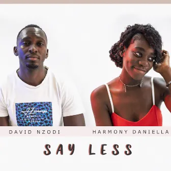 Say Less by David Nzodi