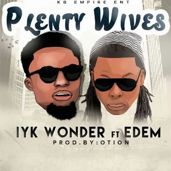 Plenty Wives by Iyk Wonder