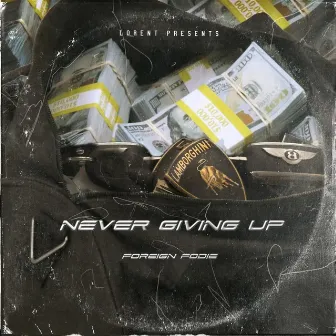 Never Giving Up by Foreign Fodie