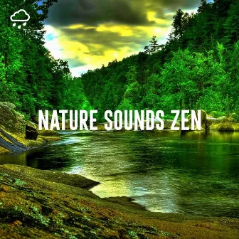 Nature Sounds Zen by Nature Sounds Collective