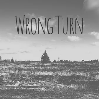 Wrong Turn by IDS