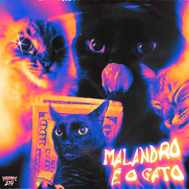 Malandro É o Gato