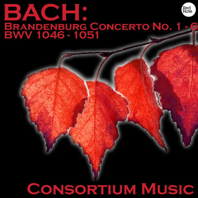 Brandenburg Concerto No. 3 in G major, BWV 1048: I. Allegro moderato