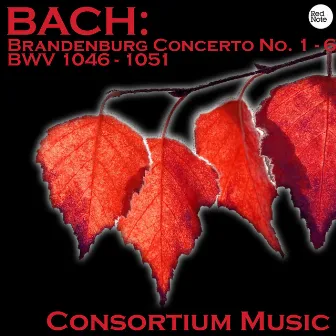 Bach: Brandenburg Concerto No. 1 - 6 BWV 1046 - 1051 by Consortium Musicum