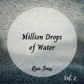 Rain Tones: Million Drops of Water Vol. 2 by Rain Games