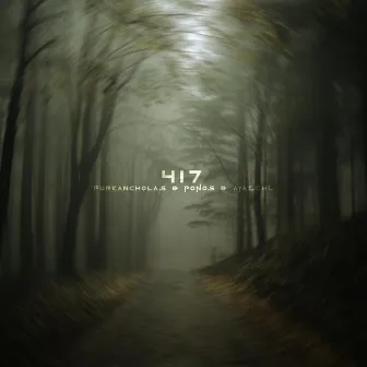 417 (Special Version) by Ponos