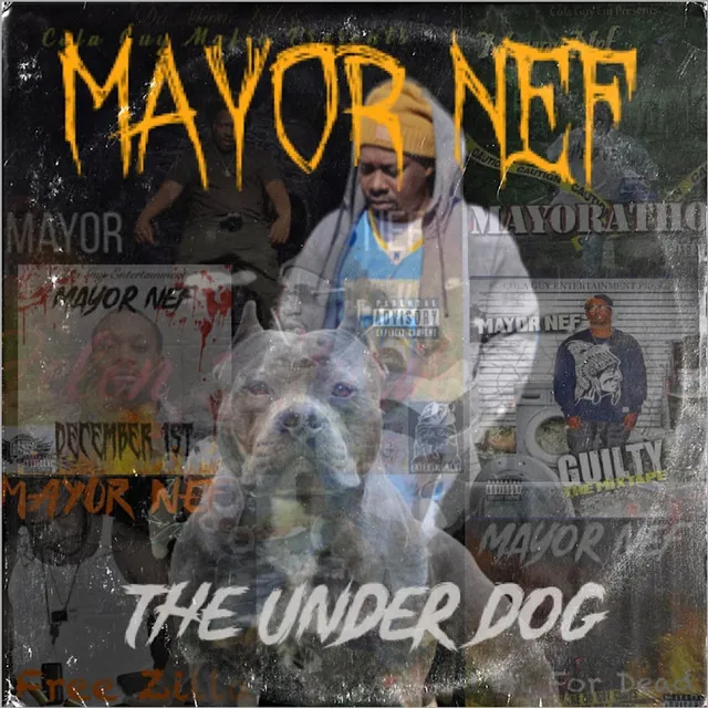 Mayor Nef