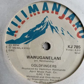 Wawuganelani by The Goldfingers