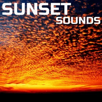 Sunset Sounds by Stingray Nature