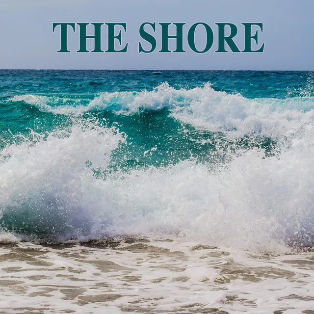 The Shore