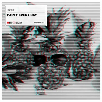 Party Every Day (Radio Edit) by Hawk