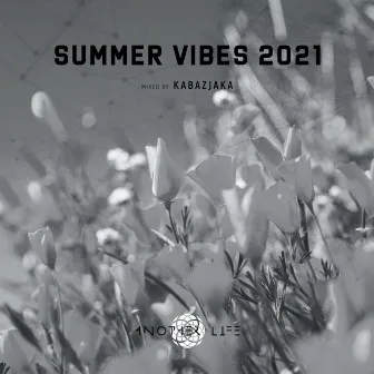 Summer Vibes 2021 (DJ Mix) by Unknown Artist