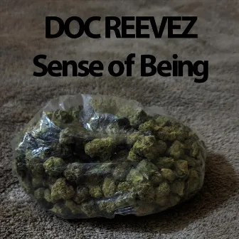 Sense of Being by Doc Reevez