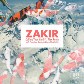 Calling Your Mind (feat. Alex Ronin) by Zakir