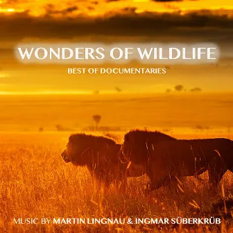 Wonders of Wildlife - Best of Documentaries by Ingmar Süberkrüb