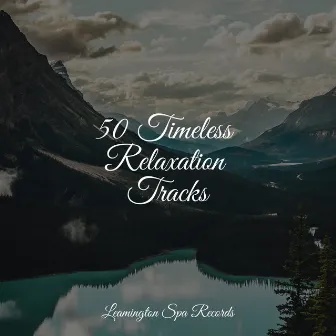 50 Timeless Relaxation Tracks by Sounds of Nature White Noise Sound Effects