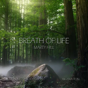 Breath of Life by Marty Hill