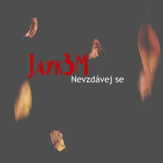 Nevzdávej se by Jayk3m