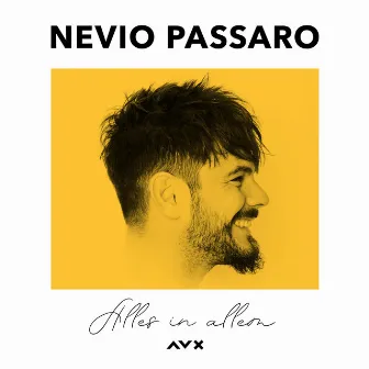 Alles in allem by Nevio Passaro