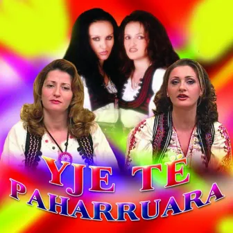 Yje Te Paharruara by Motrat Mustafa