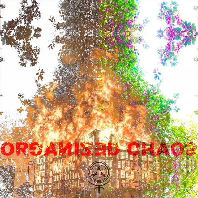 ORGANIZED CHAOS