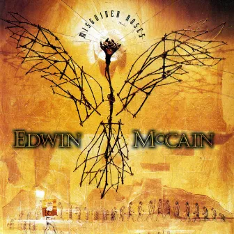 Misguided Roses by Edwin McCain