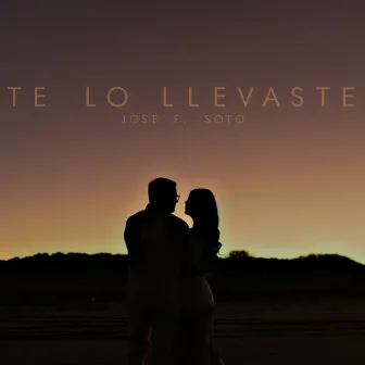 Te Lo Llevaste by José F. Soto