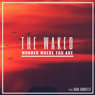 Wonder Where You Are by The Waked