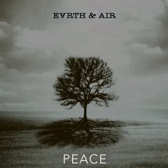 Peace by Earth & Air