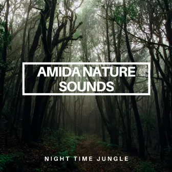 Night Time Jungle by Amida Nature Sounds