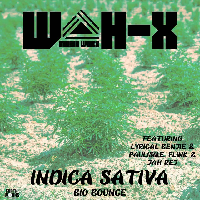 Indica Sativa