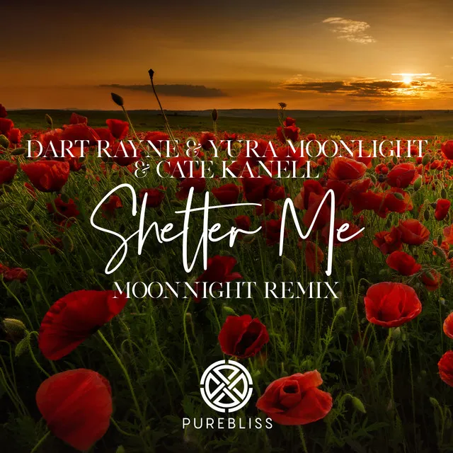 Shelter Me - Moonnight Remix