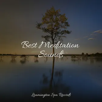 Best Meditation Sounds by Study Zone