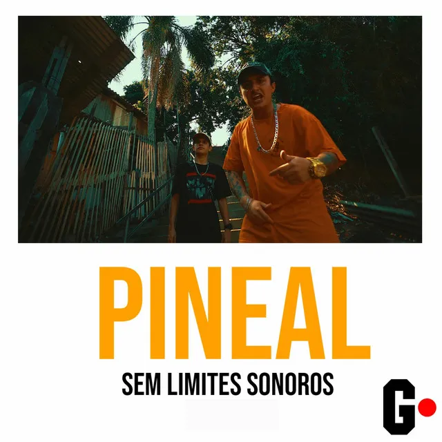 Pineal