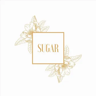 Sugar by Sam Wells