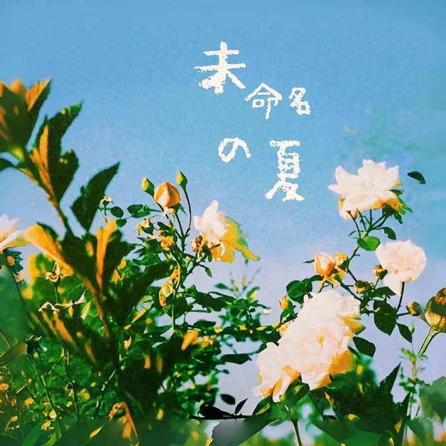 未命名的夏