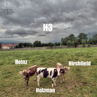 H3: Heinz, Holzman, Hirshfield by Roland Heinz