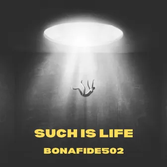 Such is life by Bonafide502