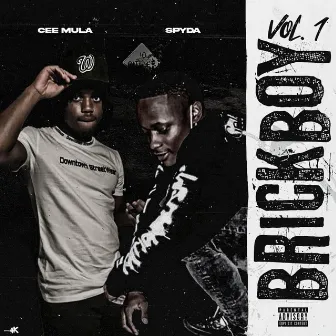 Brickboy, Vol. 1 by Spyda