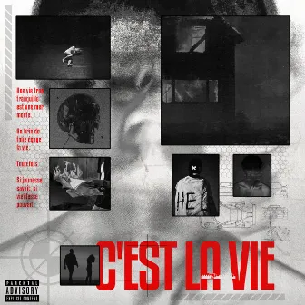 C'est La Vie by G Money