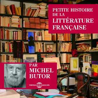 Petite histoire de la littérature française by Michel Butor