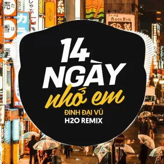 14 Ngày Nhớ Em Remix by Ducati Remix