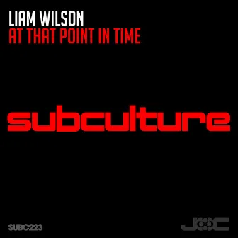 At That Point In Time by Liam Wilson