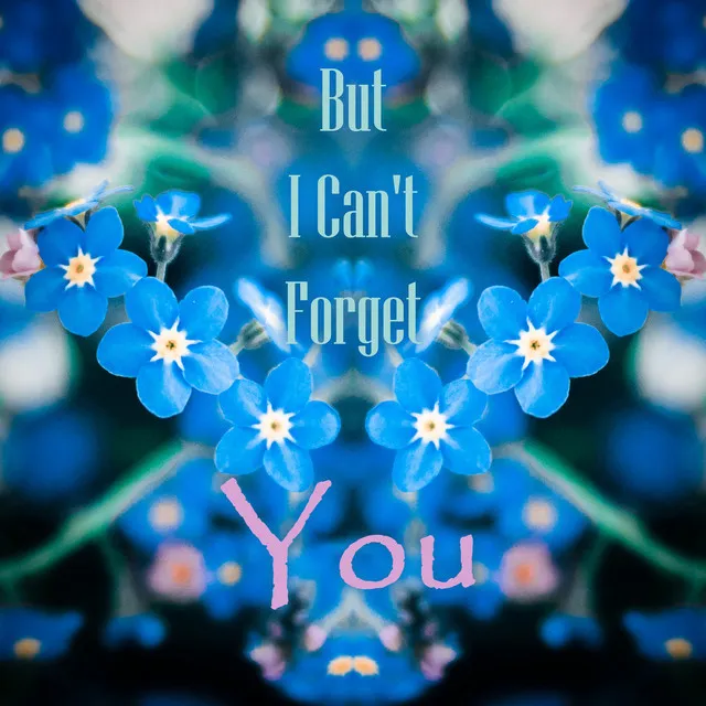 But I Can't Forget You