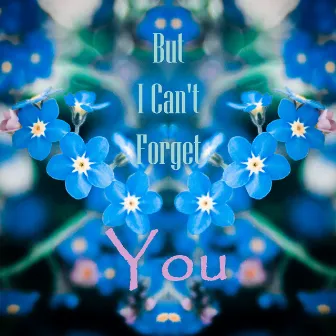 But I Can't Forget You by Miyabi