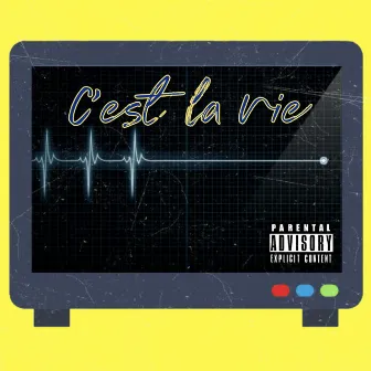 C'est la vie by DNA