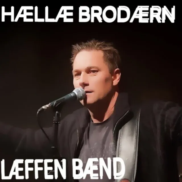 Hællæ Brodærn (Norwegian Aviici Cover)