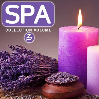 Spa Collection, Vol. 3 (Relax, Healing and Well Being Your Life with Spa Treatments) by Zenitude Specialist